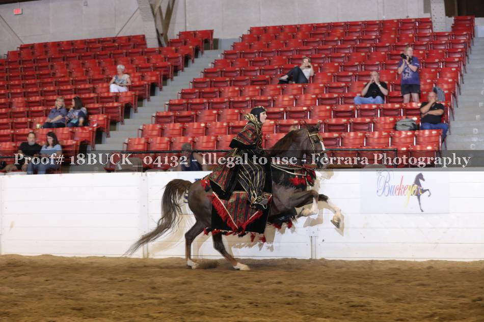 Proof Number 18BUCK_04132