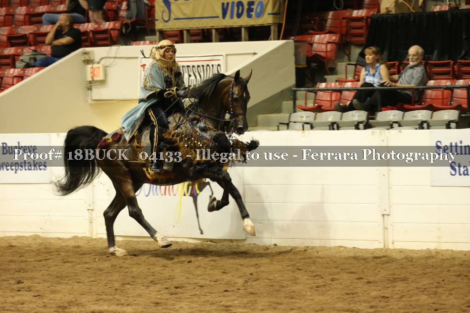 Proof Number 18BUCK_04133