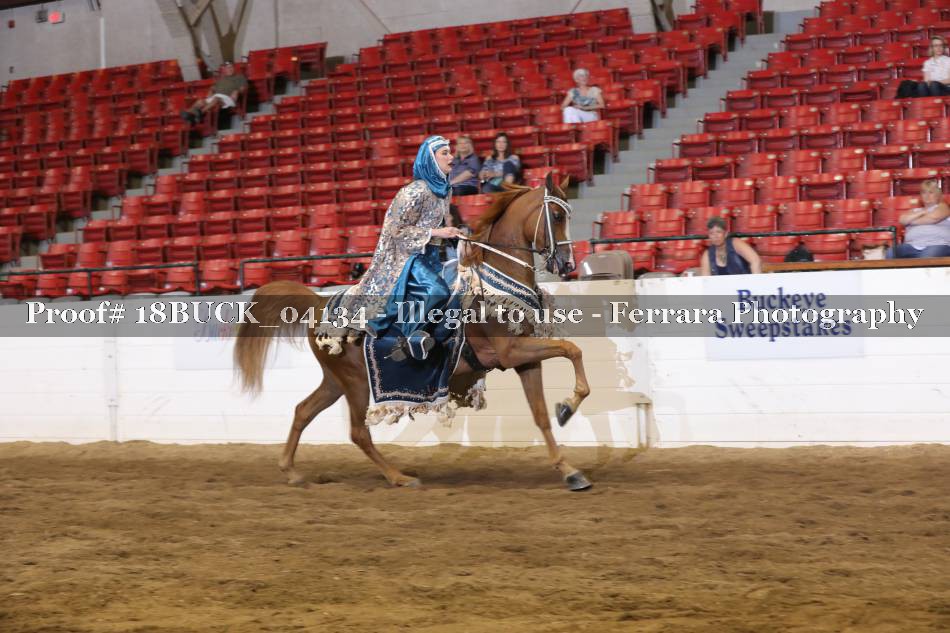 Proof Number 18BUCK_04134