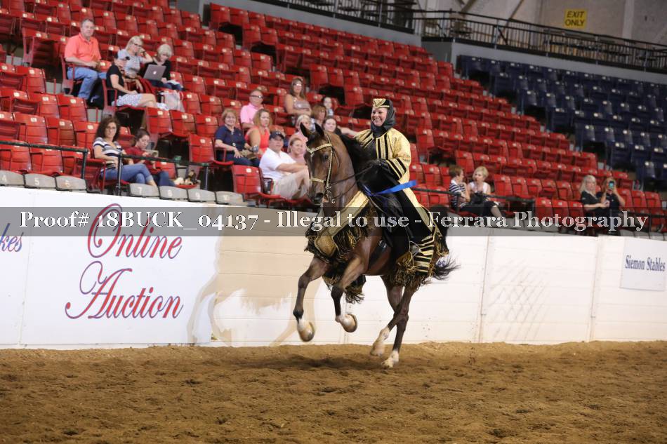 Proof Number 18BUCK_04137