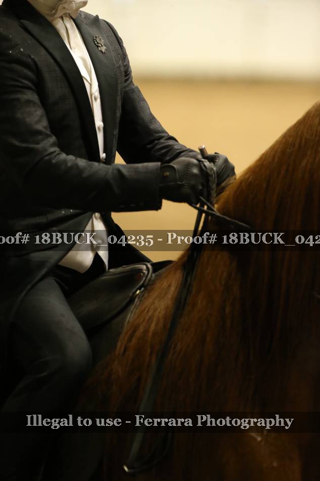 Proof Number 18BUCK_04235