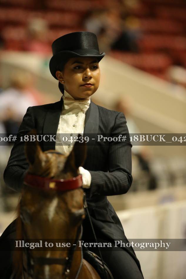 Proof Number 18BUCK_04239