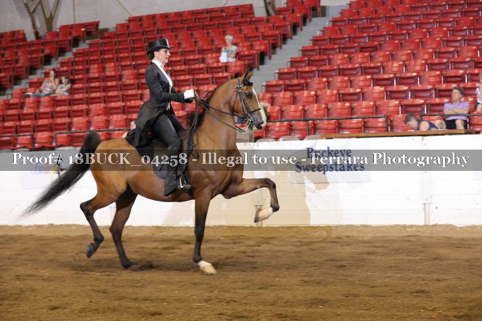 Proof Number 18BUCK_04258