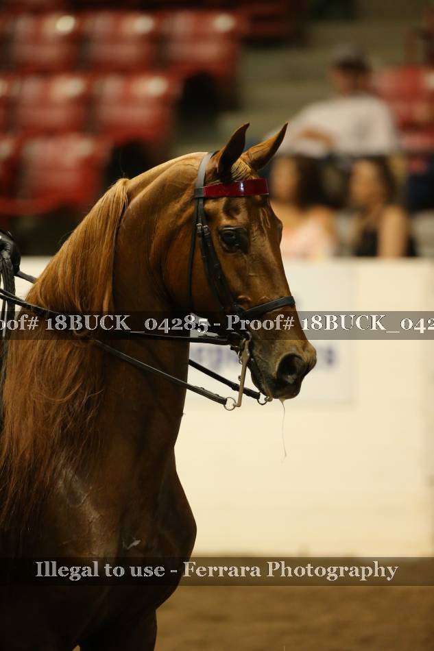 Proof Number 18BUCK_04285