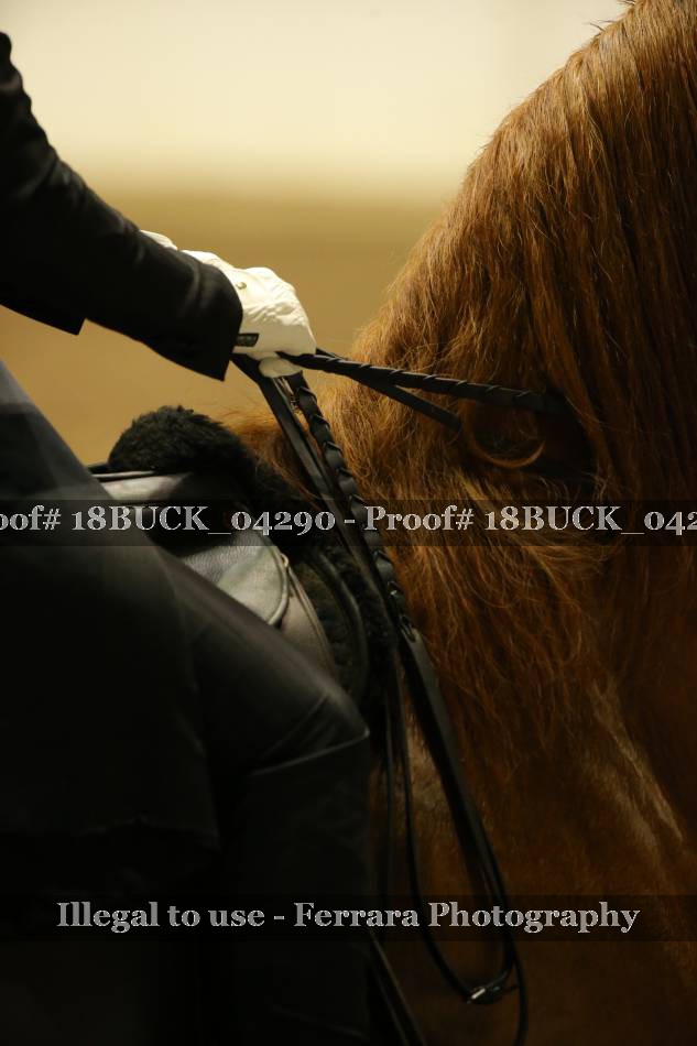 Proof Number 18BUCK_04290