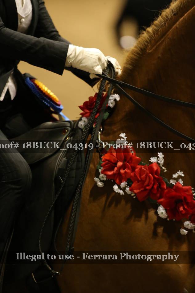 Proof Number 18BUCK_04319
