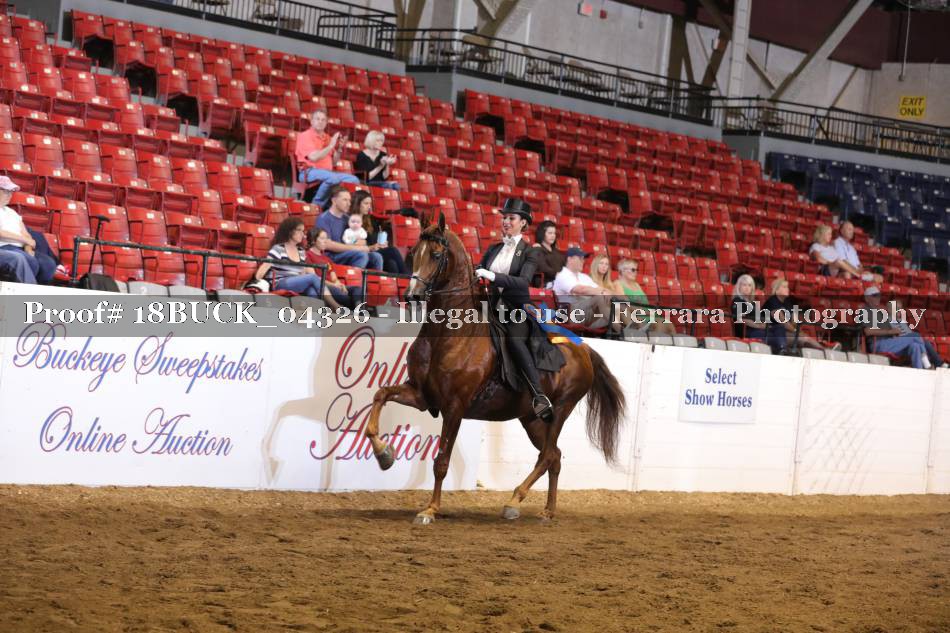 Proof Number 18BUCK_04326