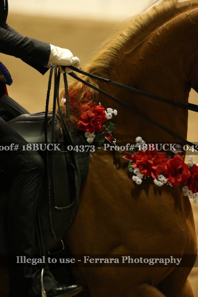 Proof Number 18BUCK_04373