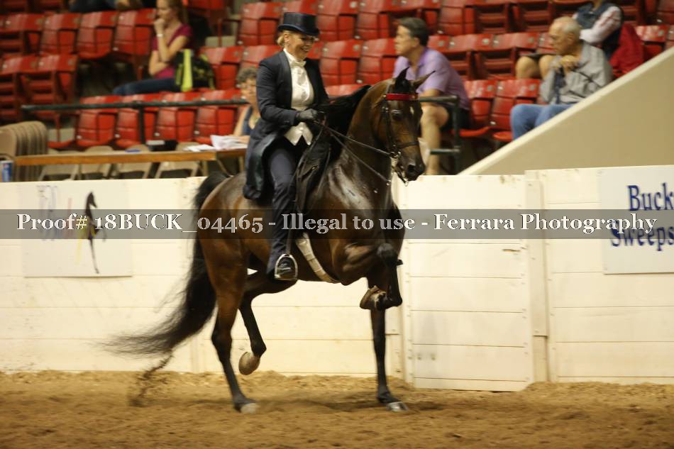 Proof Number 18BUCK_04465