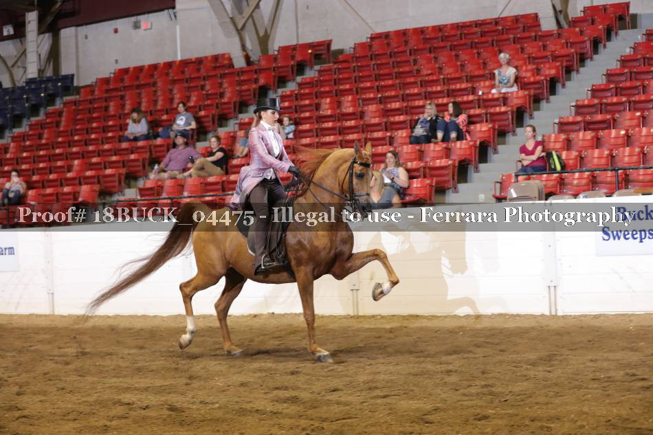 Proof Number 18BUCK_04475
