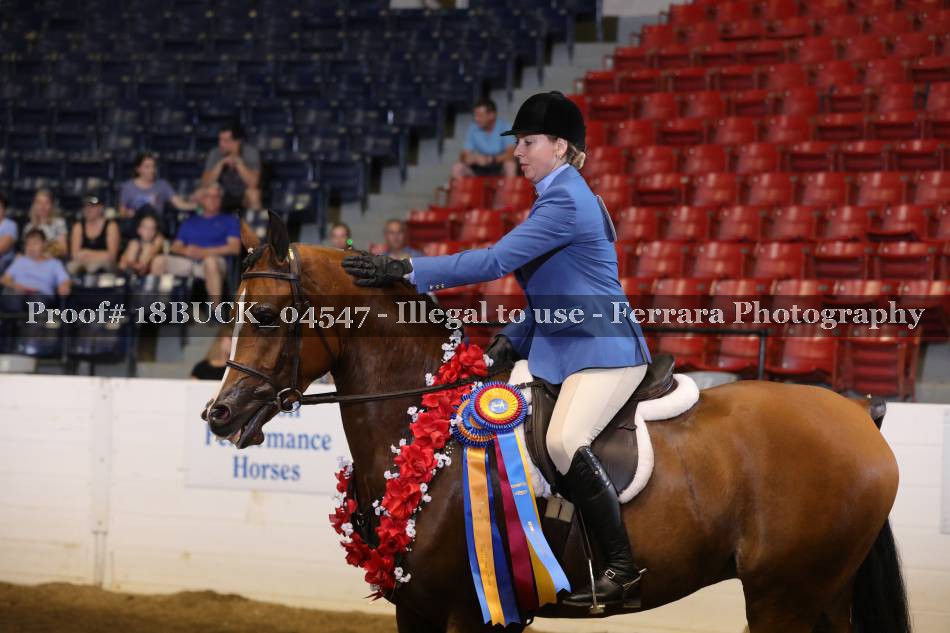 Proof Number 18BUCK_04547