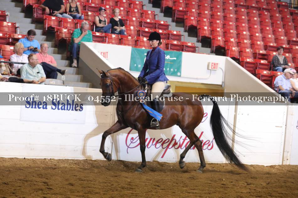 Proof Number 18BUCK_04552