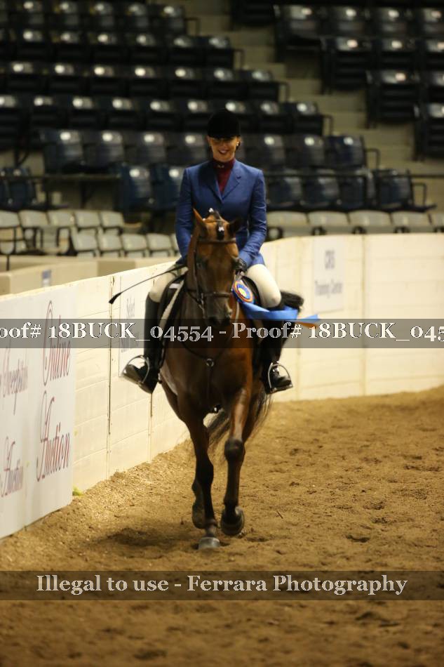 Proof Number 18BUCK_04554