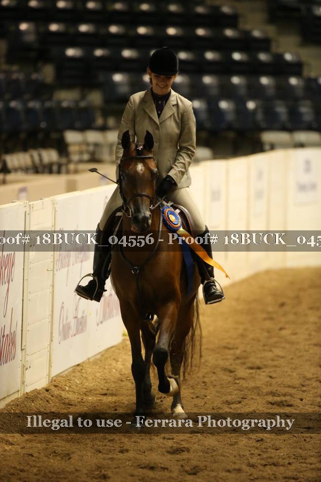 Proof Number 18BUCK_04556