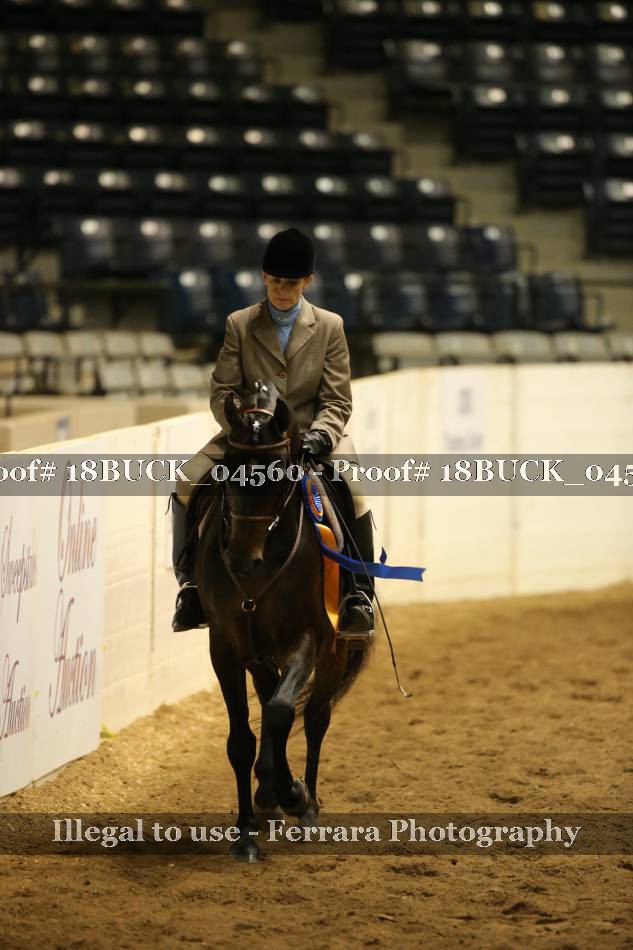 Proof Number 18BUCK_04560