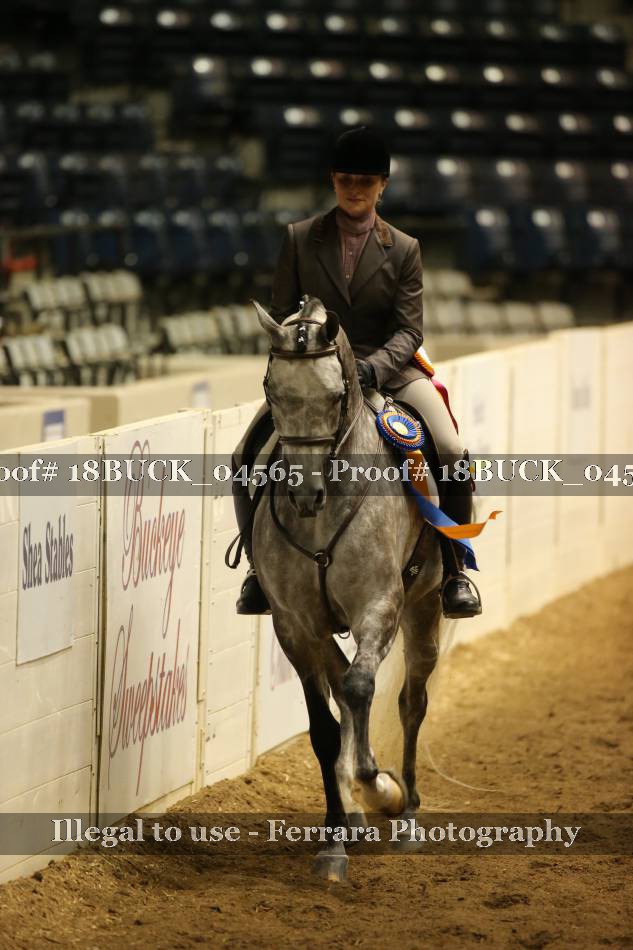Proof Number 18BUCK_04565