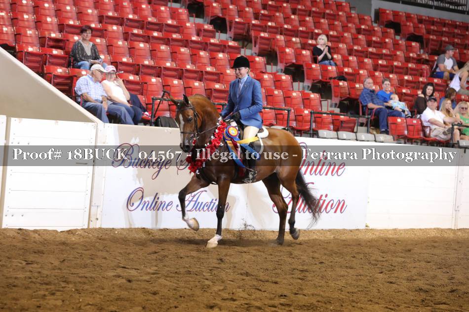 Proof Number 18BUCK_04567