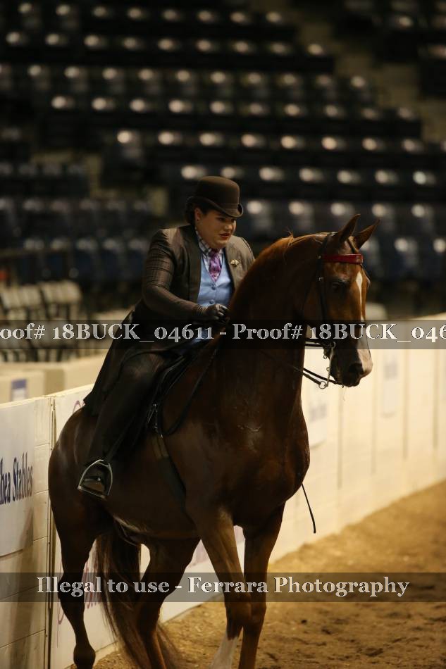 Proof Number 18BUCK_04611