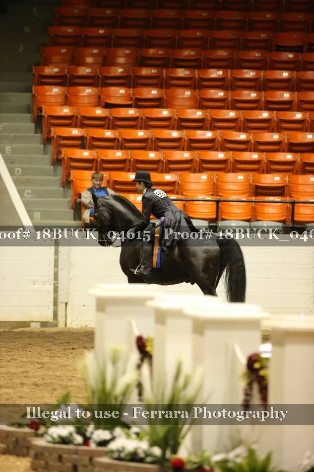 Proof Number 18BUCK_04615
