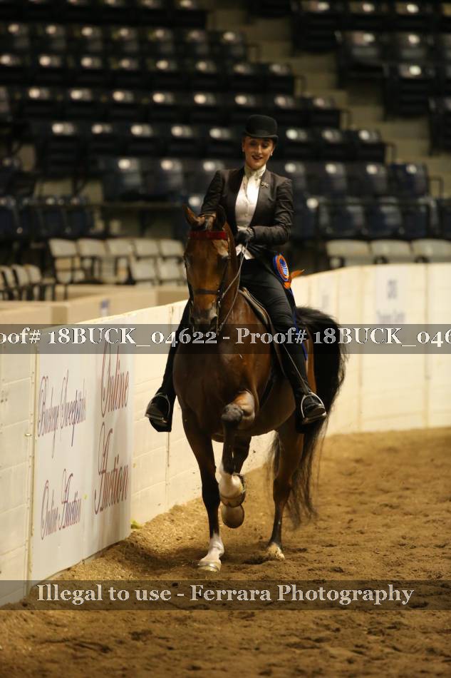 Proof Number 18BUCK_04622