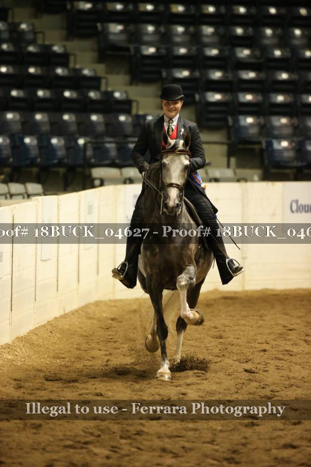 Proof Number 18BUCK_04627