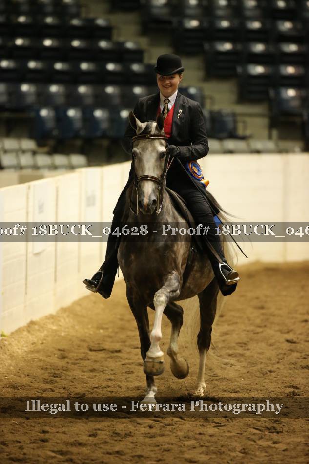 Proof Number 18BUCK_04628