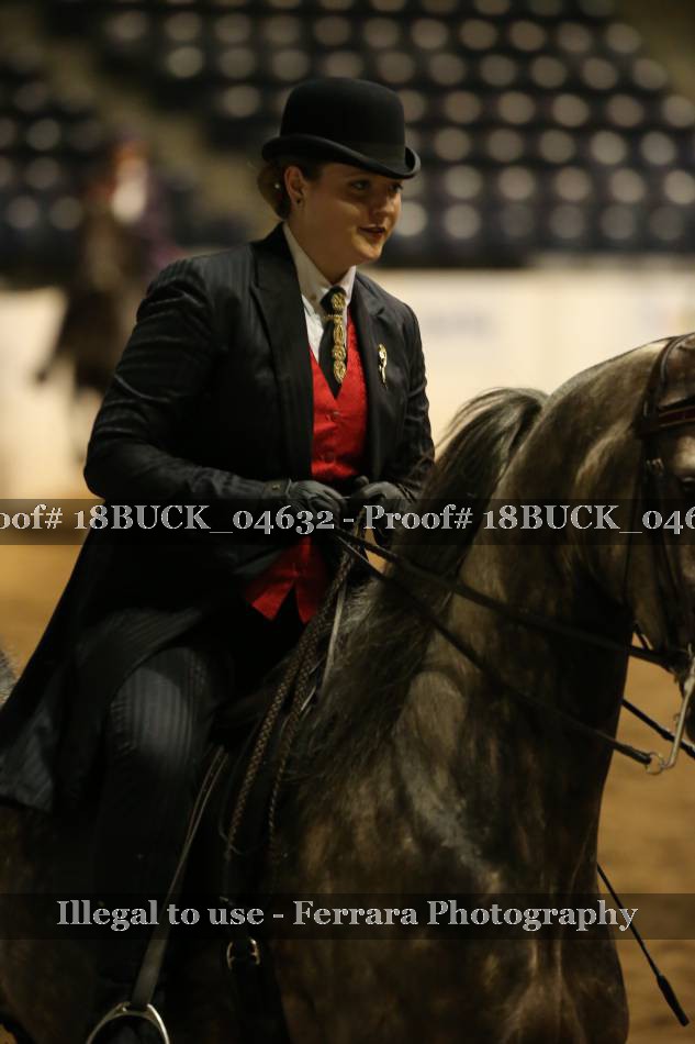 Proof Number 18BUCK_04632