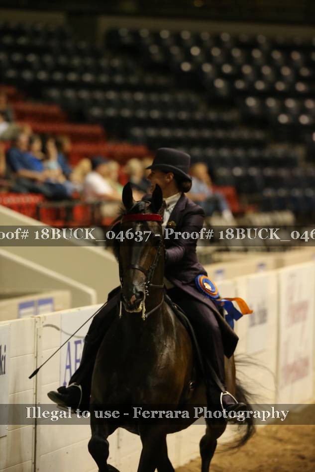 Proof Number 18BUCK_04637