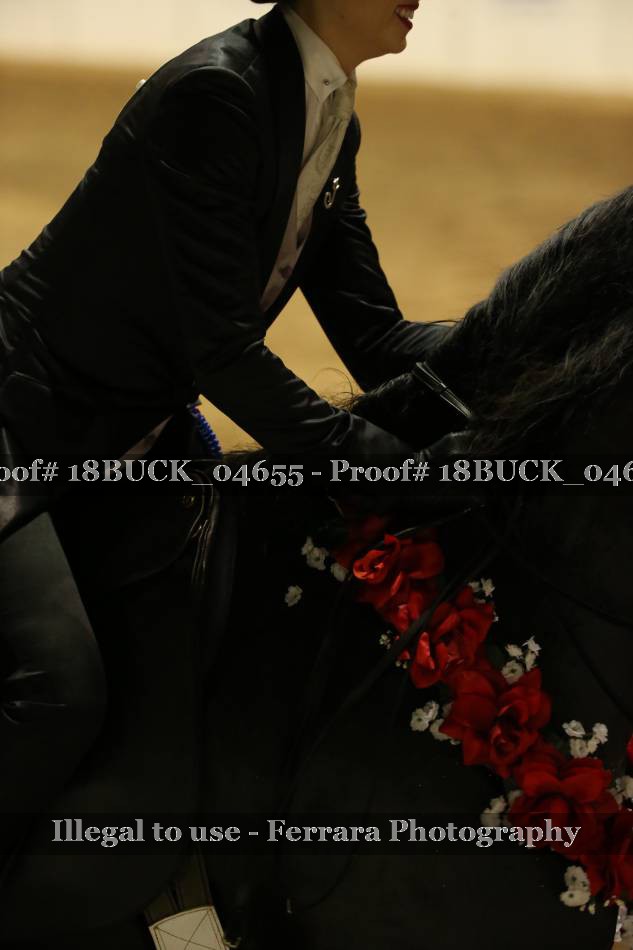 Proof Number 18BUCK_04655