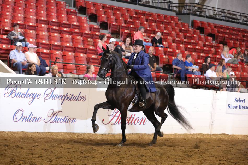 Proof Number 18BUCK_04664