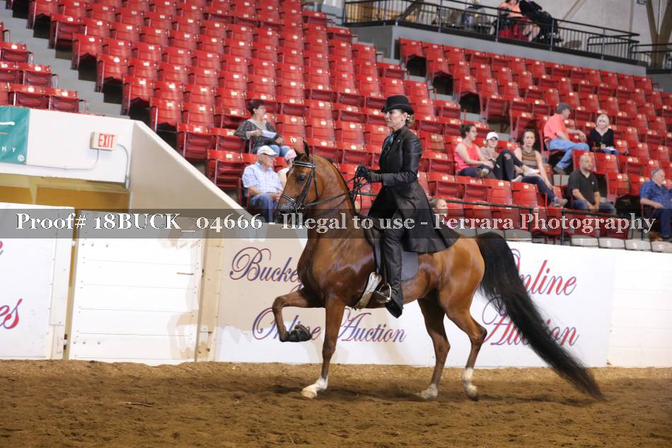 Proof Number 18BUCK_04666
