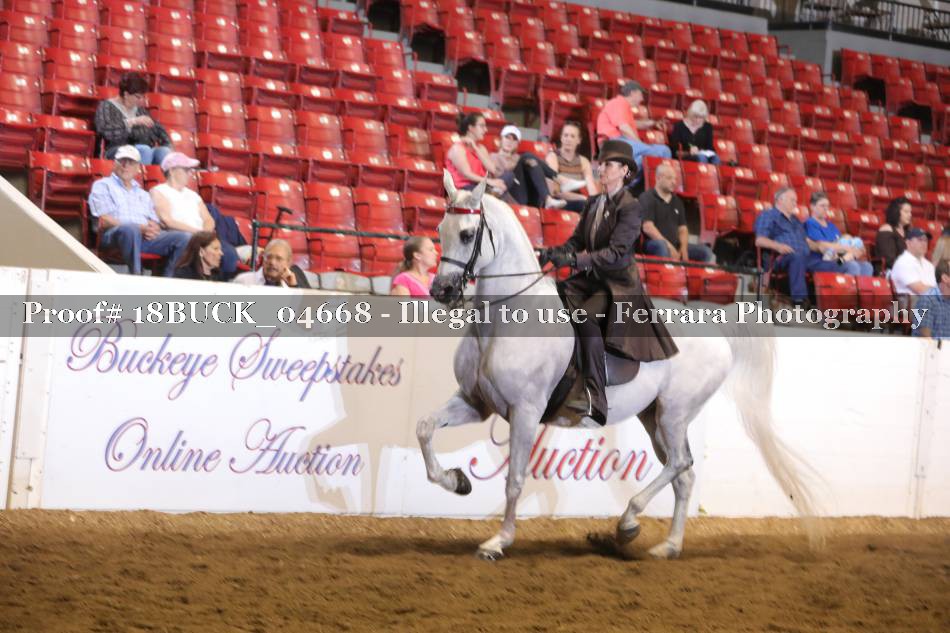 Proof Number 18BUCK_04668