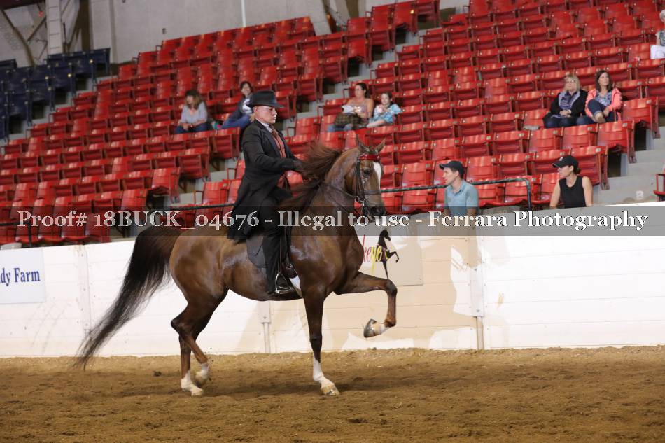 Proof Number 18BUCK_04676
