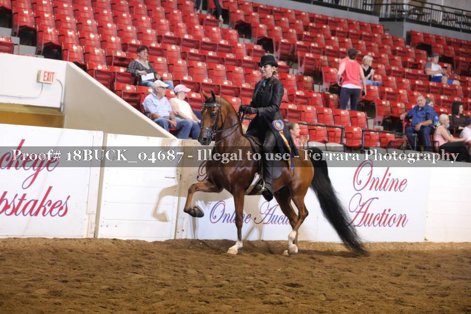 Proof Number 18BUCK_04687