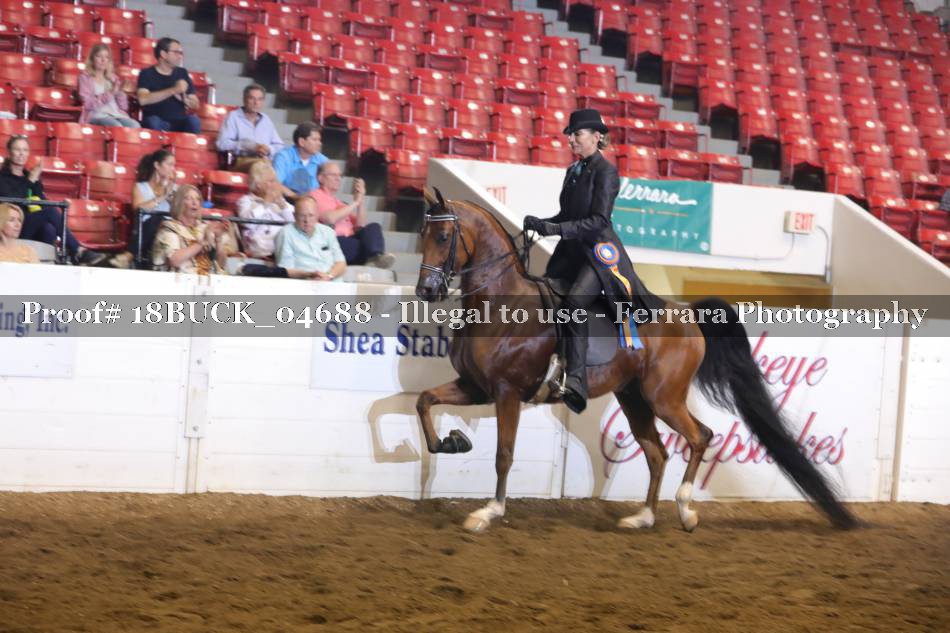 Proof Number 18BUCK_04688
