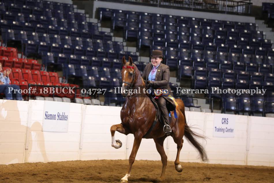 Proof Number 18BUCK_04727