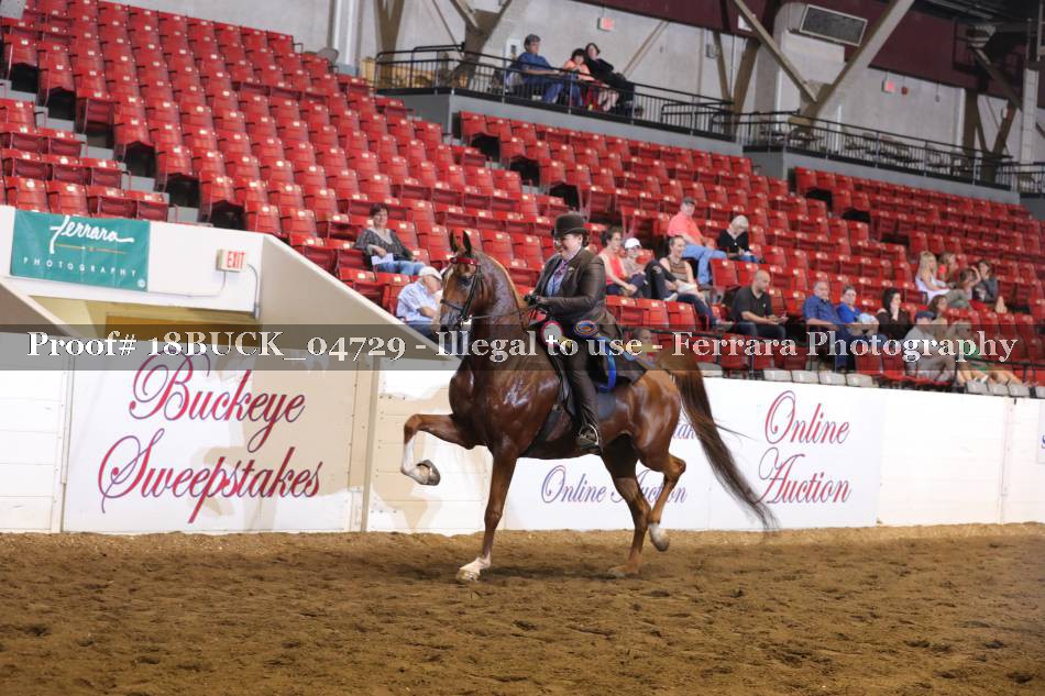 Proof Number 18BUCK_04729
