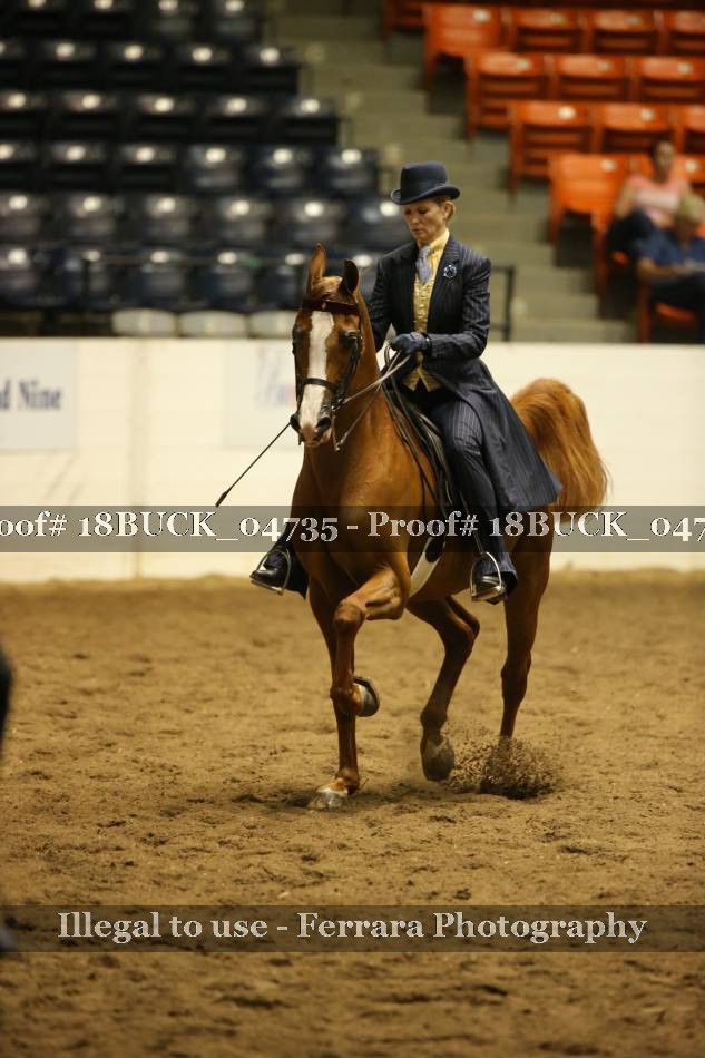 Proof Number 18BUCK_04735