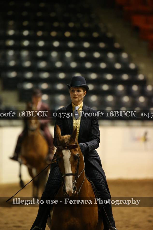 Proof Number 18BUCK_04751