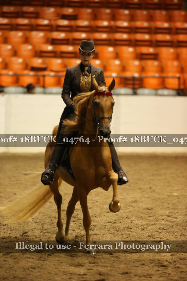 Proof Number 18BUCK_04764