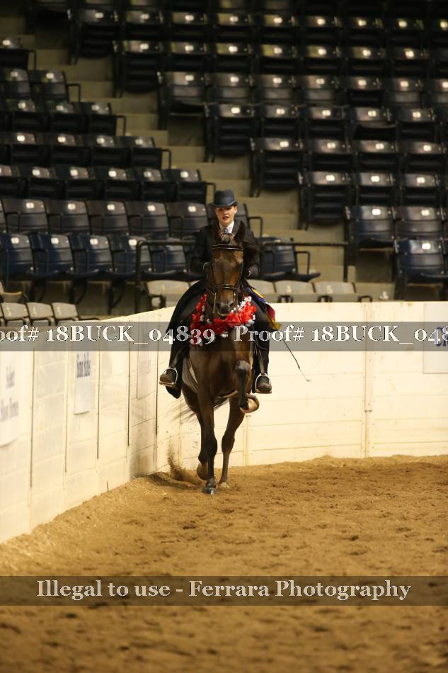 Proof Number 18BUCK_04839