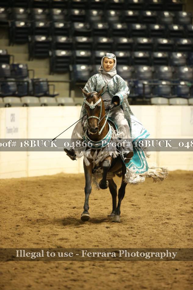 Proof Number 18BUCK_04866