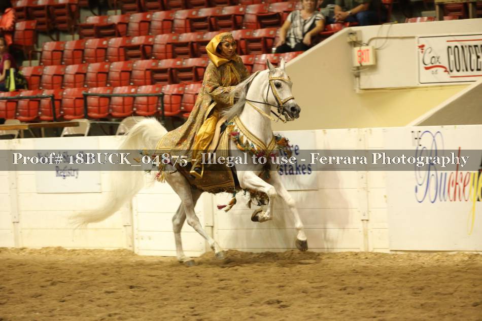 Proof Number 18BUCK_04875