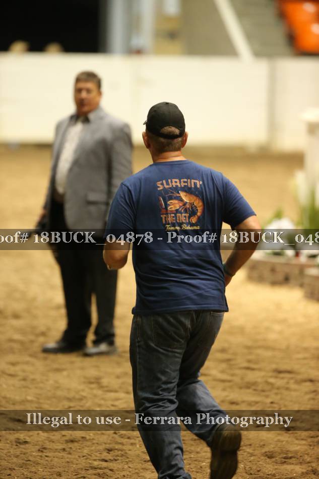 Proof Number 18BUCK_04878