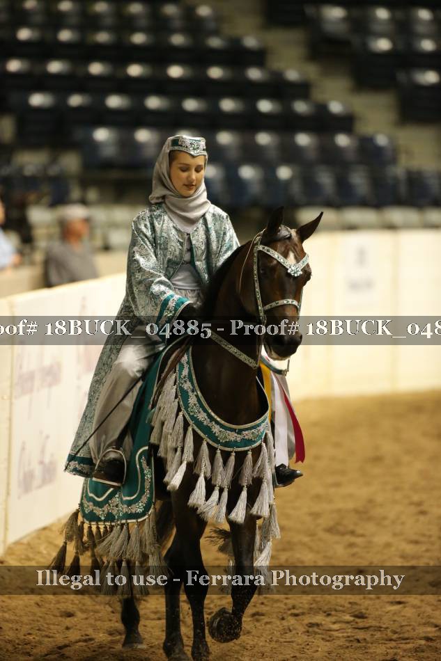 Proof Number 18BUCK_04885
