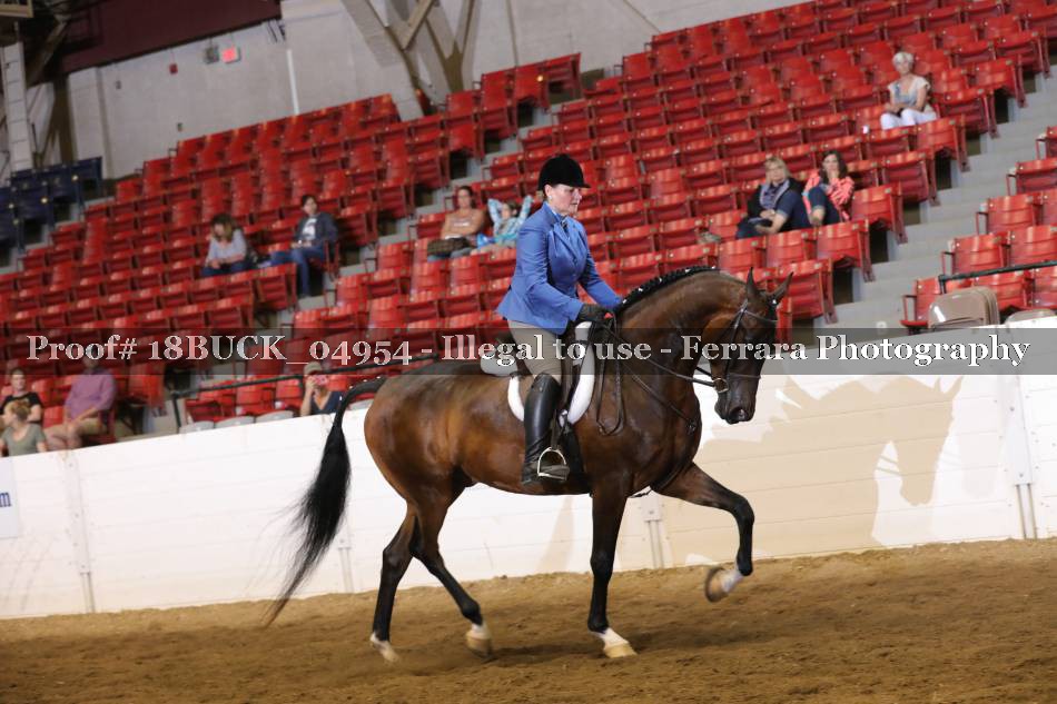 Proof Number 18BUCK_04954