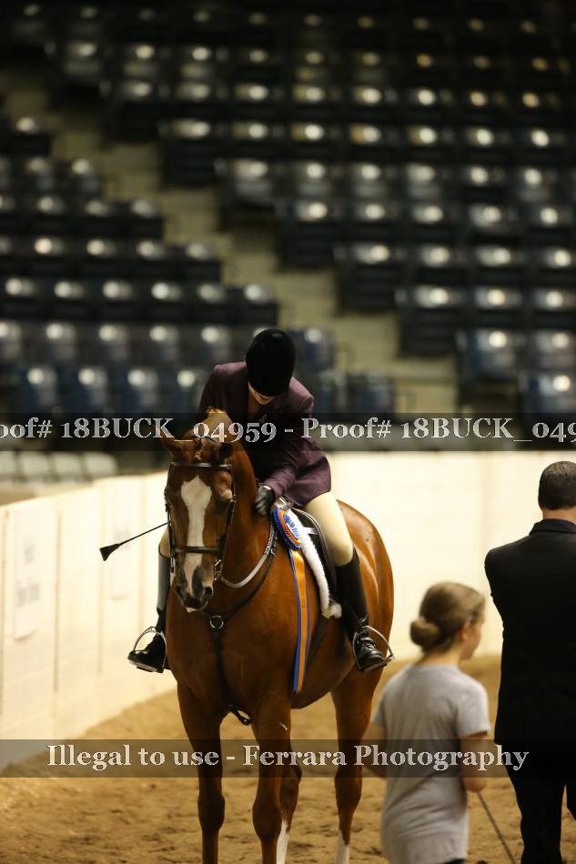 Proof Number 18BUCK_04959