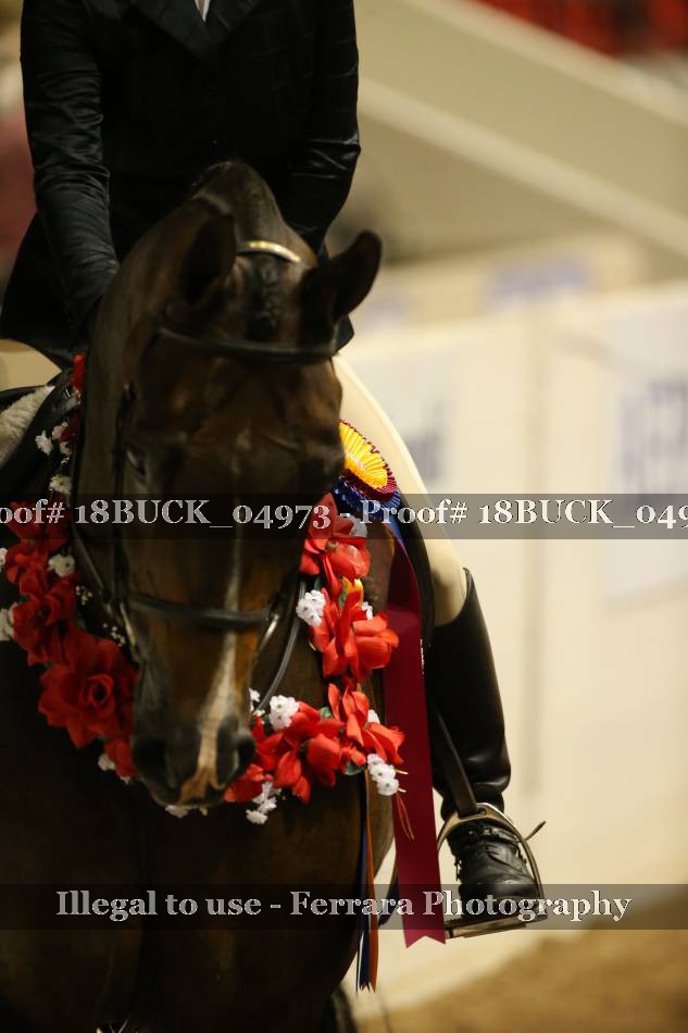 Proof Number 18BUCK_04973