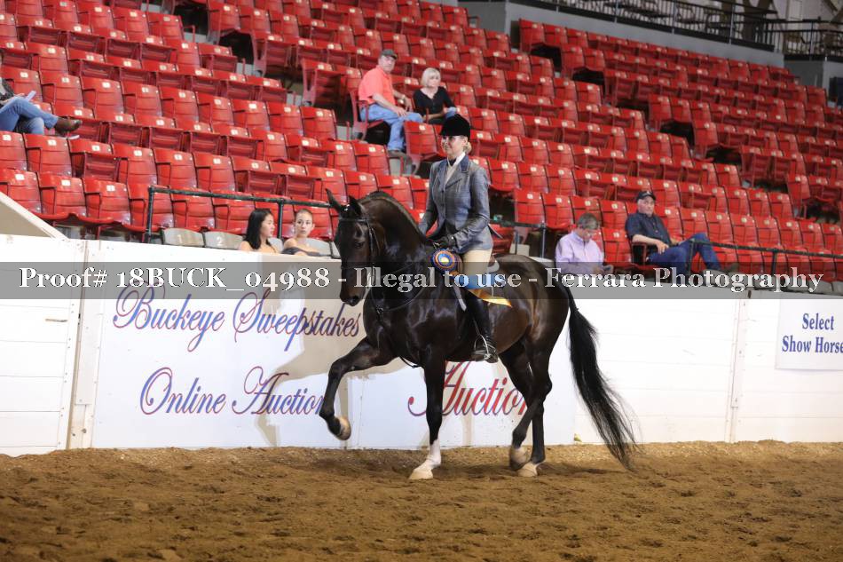 Proof Number 18BUCK_04988