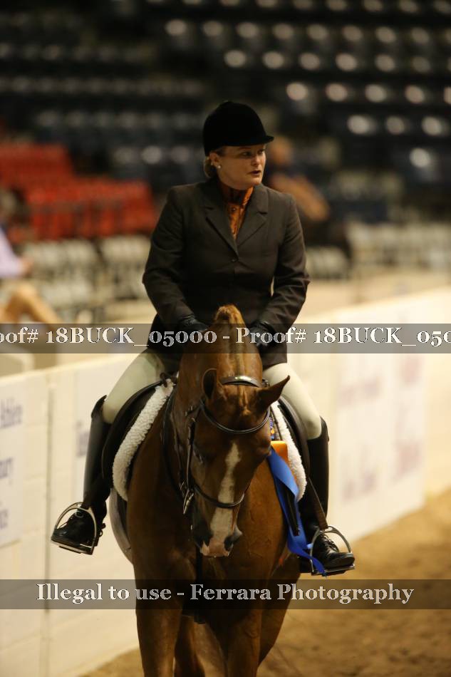 Proof Number 18BUCK_05000